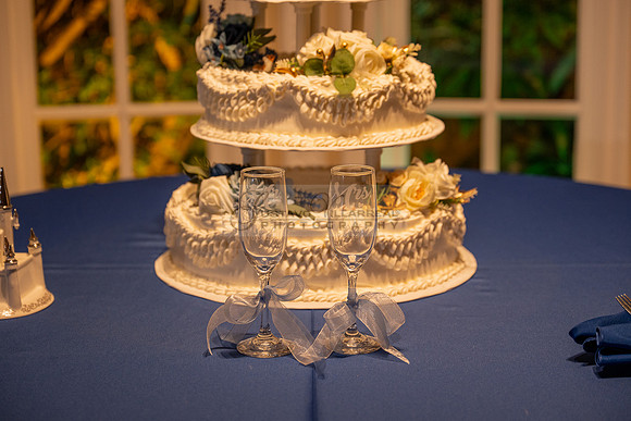 Karina and Raul Wedding celebration, ceremony, reception at The