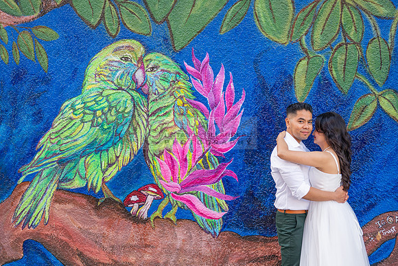 Margarita and Quintiliano engagement, weddings, quinceaneras, photos at La 4th st in Santa ana Ca. Gustavo Villarreal Photography, videographer, 323-633-8283