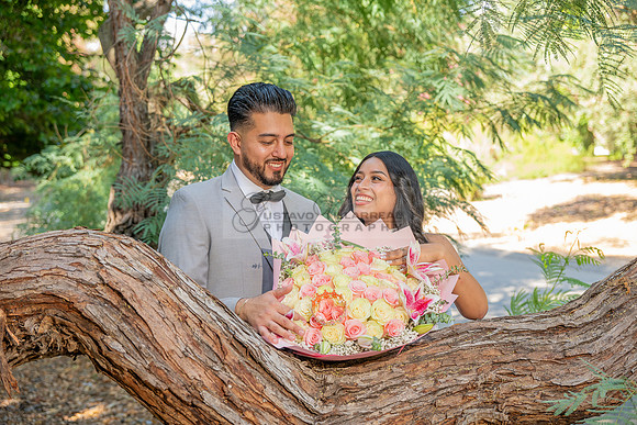 Erick and Yomira wedding, engagement photos at Los Angeles Arboretum & Botanic Garden in Arcadia Ca, images by Gustavo Villarreal Photography, 323-633-8283, www.gvphotoandvideo.com