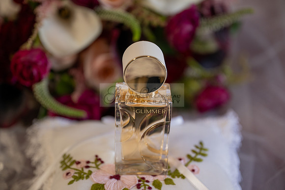 Ana Gabriela and Giovan wedding celebration, reception at Temple