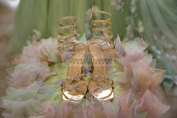 Geannah Gonzalez, sweet 16, event, photography, videography in the City of Whittier Ca, Norwalk Ca . Gustavo Villarreal Photographer, 323-633-8283