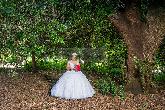 Alyssa and Kaitlynn sweet Sixteens photoshoot at Los Angeles County Arboretum in Arcadia Ca. photography, videography, Gustavo Villarreal, 323-633-8283, www.gvphotoandvideo.com