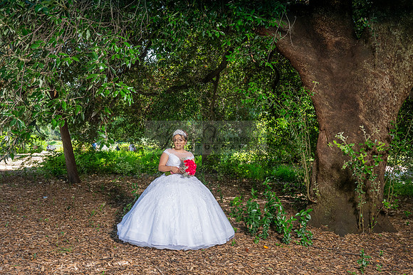 Alyssa and Kaitlynn sweet Sixteens photoshoot at Los Angeles County Arboretum in Arcadia Ca. photography, videography, Gustavo Villarreal, 323-633-8283, www.gvphotoandvideo.com