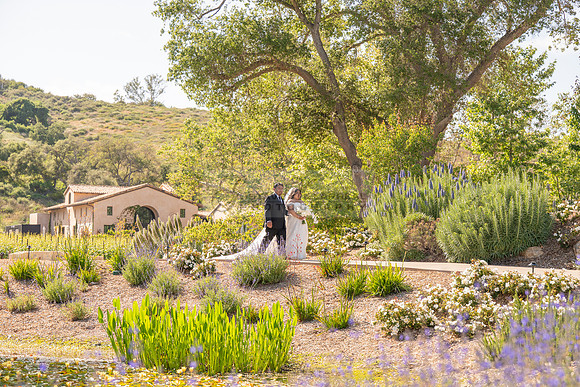 Gabriel and Daisy, LINK #1, wedding, celebration, reception, ceremony at Monserate Winery at Fallbrook Ca, Photography, videography, Gustavo Villarreal, 323-633-8283, www.gustavovillarreal.com