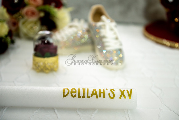 Delilah Vazquez-quinceanera-celebration-photographer-videographe