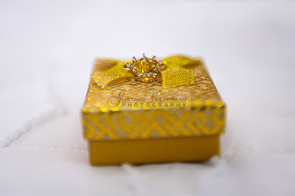 Delilah Vazquez-quinceanera-celebration-photographer-videographe