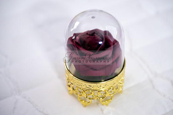 Delilah Vazquez-quinceanera-celebration-photographer-videographe