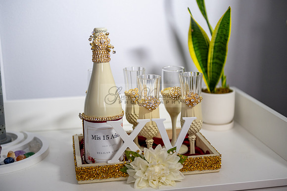 Delilah Vazquez-quinceanera-celebration-photographer-videographe