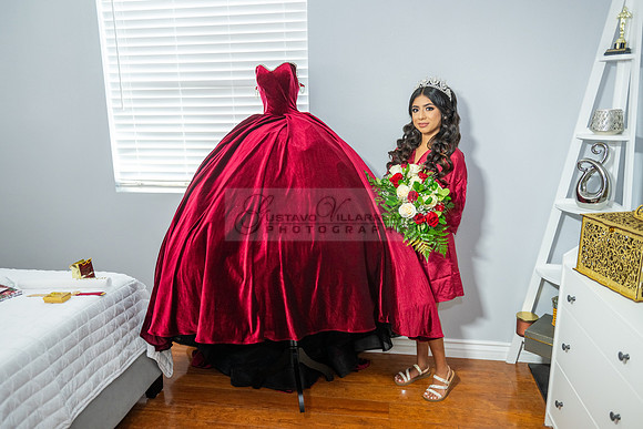 Delilah Vazquez-quinceanera-celebration-photographer-videographe
