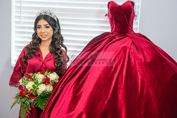 Delilah Vazquez-quinceanera-celebration-photographer-videographe