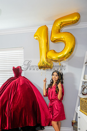 Delilah Vazquez-quinceanera-celebration-photographer-videographe