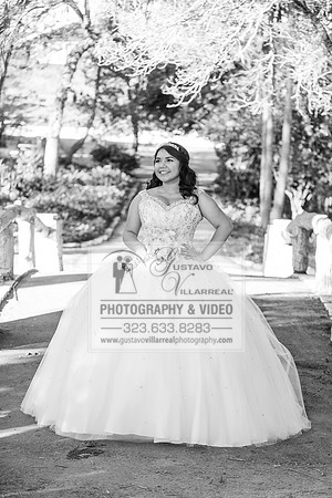 Maya Janet  quinceaneras, sweet sixteens, weddings, family portraits, canvelanes, quince dresses, anniversaries photography and video at averill park in san pedro ca,  www.gustavovillarreal.com, 323-6