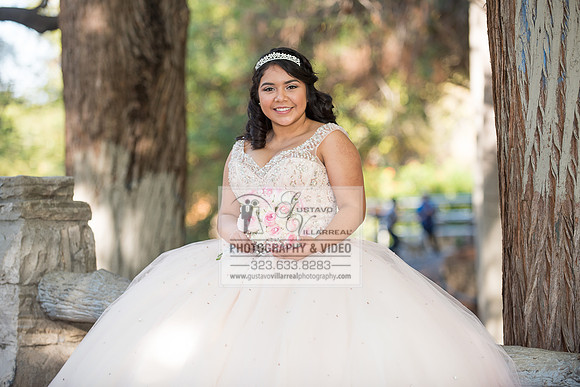 Maya Janet  quinceaneras, sweet sixteens, weddings, family portraits, canvelanes, quince dresses, anniversaries photography and video at averill park in san pedro ca,  www.gustavovillarreal.com, 323-6