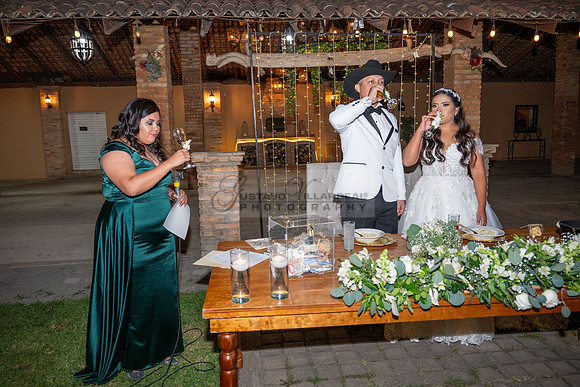 Lalo and Indira wedding, boda en Puga Nayarit Mexico, Gustavo Villarreal Photography, 323-633-8283, www.gustavovillarreal.com
