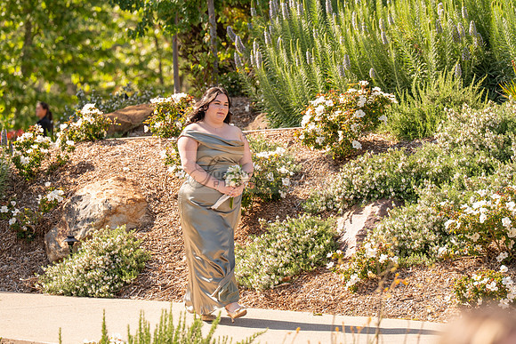 Gabriel and Daisy, LINK #1, wedding, celebration, reception, ceremony at Monserate Winery at Fallbrook Ca, Photography, videography, Gustavo Villarreal, 323-633-8283, www.gustavovillarreal.com