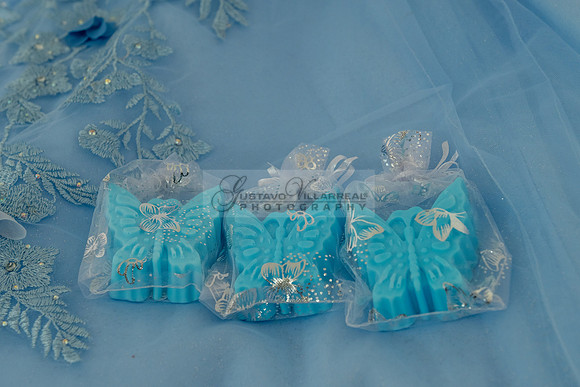 Ximena-Citlali-quinceanera-photo-session-photo-video-in-Montebello-Ca-323-633-8283