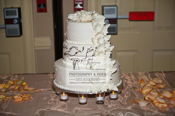 Quinceaneras and weddings photography and video at Embassy suite