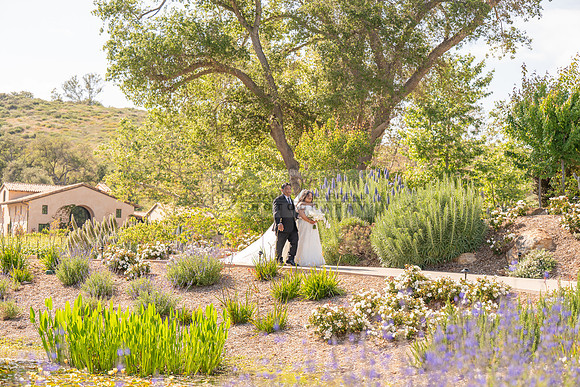 Gabriel and Daisy, LINK #1, wedding, celebration, reception, ceremony at Monserate Winery at Fallbrook Ca, Photography, videography, Gustavo Villarreal, 323-633-8283, www.gustavovillarreal.com