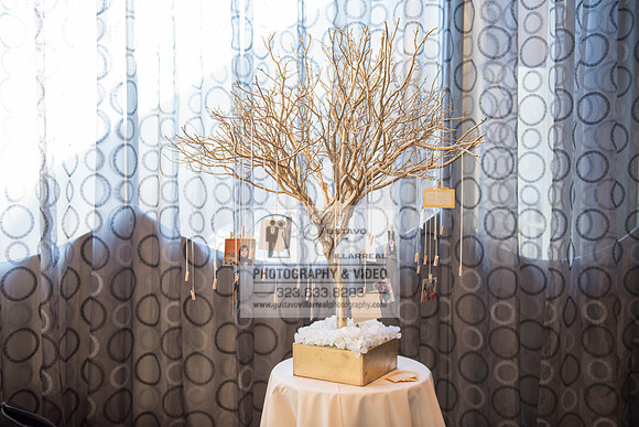 Kathleen Hernandez Quinceaneras, sweet sixteens, filipino 18 debut, bar and bat mitzvah, weddings, anniversaries, family portraits,  photography and video in Pasadena Ca, Orange County, Los Angeles,
