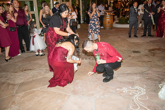 Alejandro and Monique wedding celebration, reception at Turnip Rose Promenade and Gardens banquet hall in Costa Mesa Ca. photography and videography by Gustavo Villarreal 323-633-8283