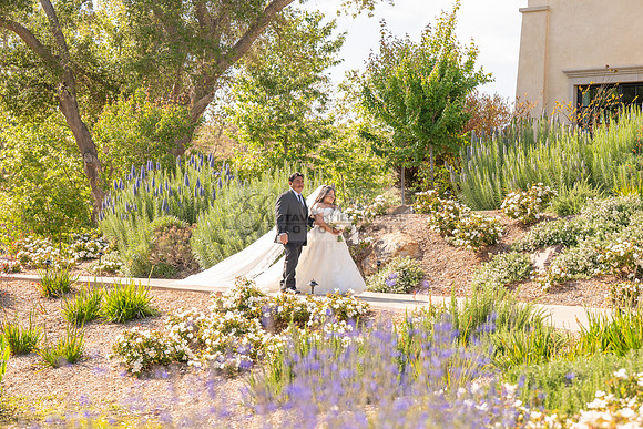 Gabriel and Daisy, LINK #1, wedding, celebration, reception, ceremony at Monserate Winery at Fallbrook Ca, Photography, videography, Gustavo Villarreal, 323-633-8283, www.gustavovillarreal.com