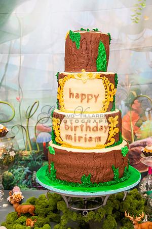 Miriam Louise quinceanera celebration at Elks Lodge of West Covina Ca, photography and videography by Gustavo Villarreal 323-633-8283