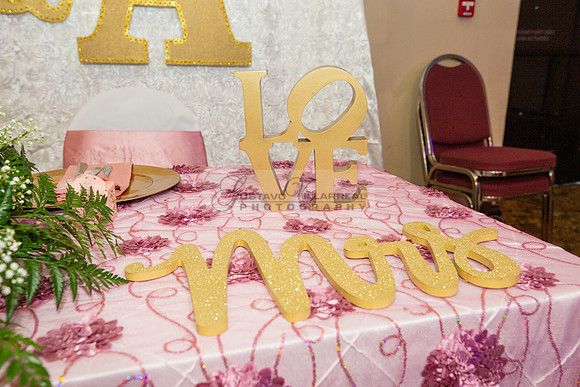 Alma and Anthony wedding reception, celebration at Fiesta hall b