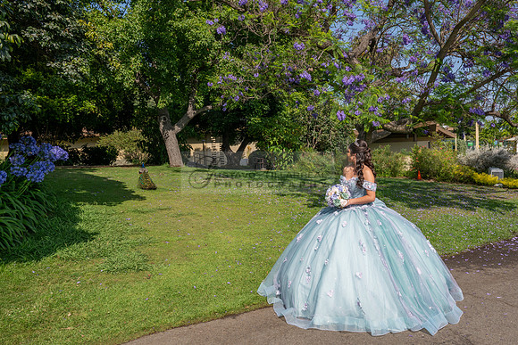 Janelle Ornelas quinceanera photo shoot at the arboretum in Arcadia Ca, Gustavo Villarreal Photography, 323-633-8283, www.gvphotoandvideo.com