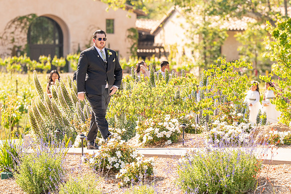 Gabriel and Daisy, LINK #1, wedding, celebration, reception, ceremony at Monserate Winery at Fallbrook Ca, Photography, videography, Gustavo Villarreal, 323-633-8283, www.gustavovillarreal.com