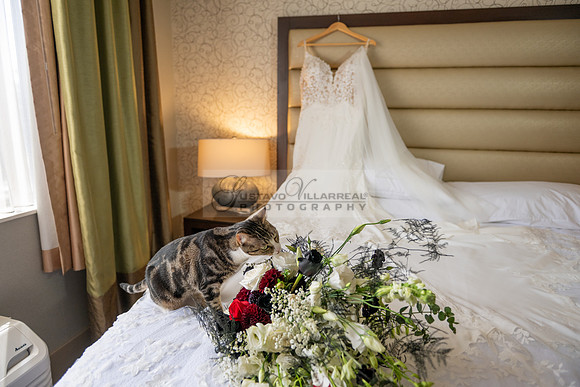 Ana and Irwin- wedding-celebration-reception-photographer-videographer-Quiet Cannon-Montebello-Ca-Gustavo Villarreal Photography-323-633-8283-#gvphotoandvideo.com