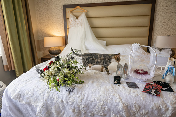 Ana and Irwin- wedding-celebration-reception-photographer-videographer-Quiet Cannon-Montebello-Ca-Gustavo Villarreal Photography-323-633-8283-#gvphotoandvideo.com