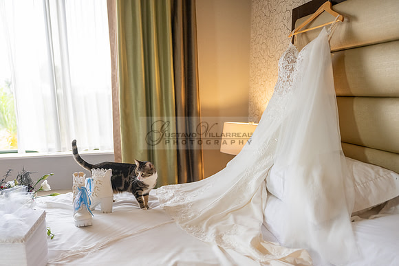 Ana and Irwin- wedding-celebration-reception-photographer-videographer-Quiet Cannon-Montebello-Ca-Gustavo Villarreal Photography-323-633-8283-#gvphotoandvideo.com