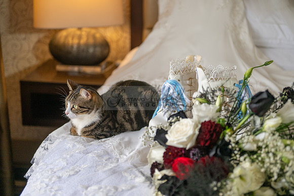 Ana and Irwin- wedding-celebration-reception-photographer-videographer-Quiet Cannon-Montebello-Ca-Gustavo Villarreal Photography-323-633-8283-#gvphotoandvideo.com