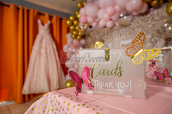 Jane Elizabeth quinceanera photographer-videographer-South Gate-Whittier-The Rose gardens in Whittier Ca. Gustavo Villarreal photography, videography, 323-633-8283, www.gvphotoandvideo.com
