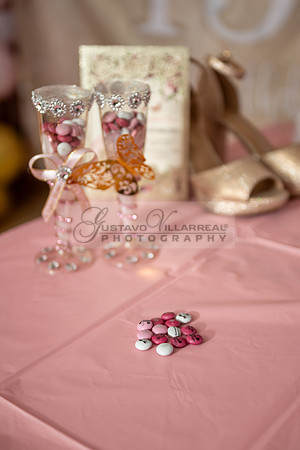 Jane Elizabeth quinceanera photographer-videographer-South Gate-Whittier-The Rose gardens in Whittier Ca. Gustavo Villarreal photography, videography, 323-633-8283, www.gvphotoandvideo.com
