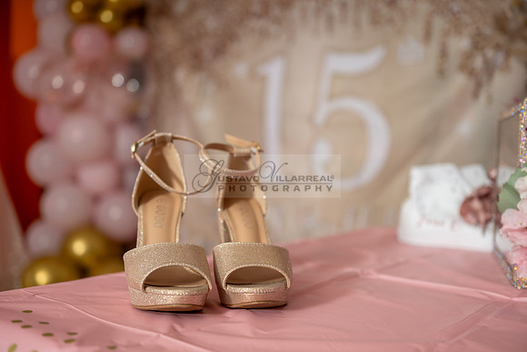 Jane Elizabeth quinceanera photographer-videographer-South Gate-Whittier-The Rose gardens in Whittier Ca. Gustavo Villarreal photography, videography, 323-633-8283, www.gvphotoandvideo.com