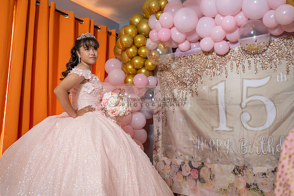 Jane Elizabeth quinceanera photographer-videographer-South Gate-Whittier-The Rose gardens in Whittier Ca. Gustavo Villarreal photography, videography, 323-633-8283, www.gvphotoandvideo.com