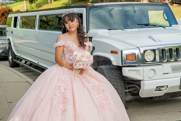 Jane Elizabeth quinceanera photographer-videographer-South Gate-Whittier-The Rose gardens in Whittier Ca. Gustavo Villarreal photography, videography, 323-633-8283, www.gvphotoandvideo.com