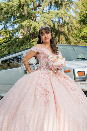Jane Elizabeth quinceanera photographer-videographer-South Gate-Whittier-The Rose gardens in Whittier Ca. Gustavo Villarreal photography, videography, 323-633-8283, www.gvphotoandvideo.com