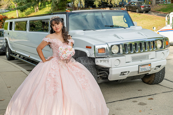 Jane Elizabeth quinceanera photographer-videographer-South Gate-Whittier-The Rose gardens in Whittier Ca. Gustavo Villarreal photography, videography, 323-633-8283, www.gvphotoandvideo.com