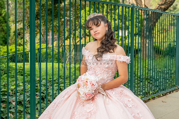 Jane Elizabeth quinceanera photographer-videographer-South Gate-Whittier-The Rose gardens in Whittier Ca. Gustavo Villarreal photography, videography, 323-633-8283, www.gvphotoandvideo.com