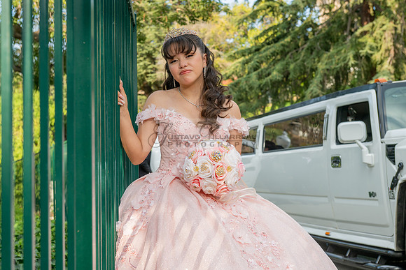 Jane Elizabeth quinceanera photographer-videographer-South Gate-Whittier-The Rose gardens in Whittier Ca. Gustavo Villarreal photography, videography, 323-633-8283, www.gvphotoandvideo.com