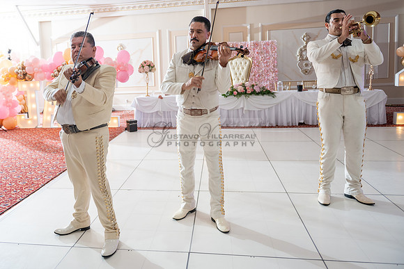 Jane Elizabeth quinceanera photographer-videographer-South Gate-Whittier-The Rose gardens in Whittier Ca. Gustavo Villarreal photography, videography, 323-633-8283, www.gvphotoandvideo.com