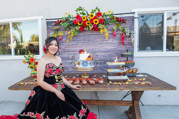 Katelynn Ramirez quinceanera celebration photography and video at Poncitlan square park in Palmdale Ca, www.gustavovillarreal.com, 323-633-8283