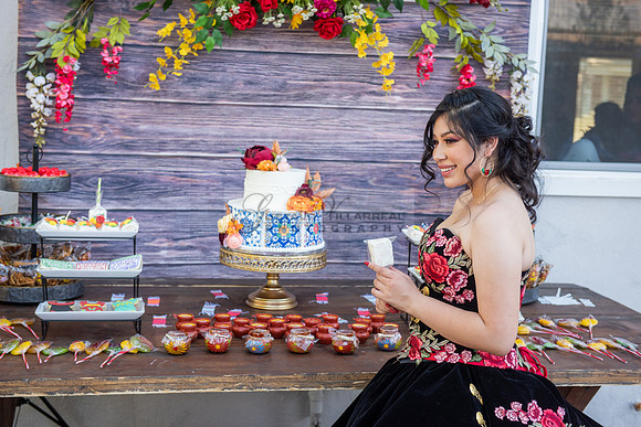 Katelynn Ramirez quinceanera celebration photography and video at Poncitlan square park in Palmdale Ca, www.gustavovillarreal.com, 323-633-8283