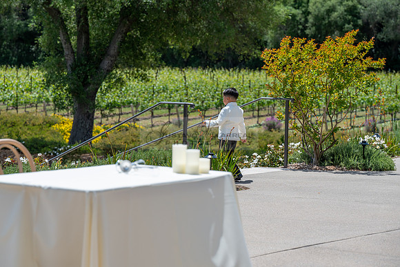 Gabriel and Daisy, LINK #1, wedding, celebration, reception, ceremony at Monserate Winery at Fallbrook Ca, Photography, videography, Gustavo Villarreal, 323-633-8283, www.gustavovillarreal.com