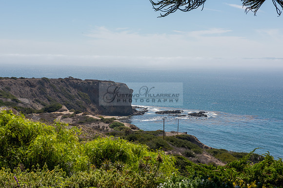 Fanny and Gustavo wedding celebration photography and videograph