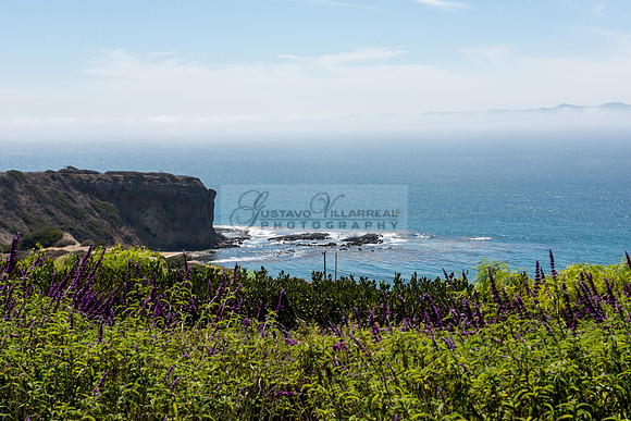 Fanny and Gustavo wedding celebration photography and videograph