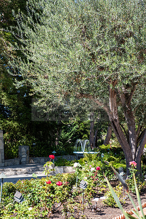 Fanny and Gustavo wedding celebration photography and videograph