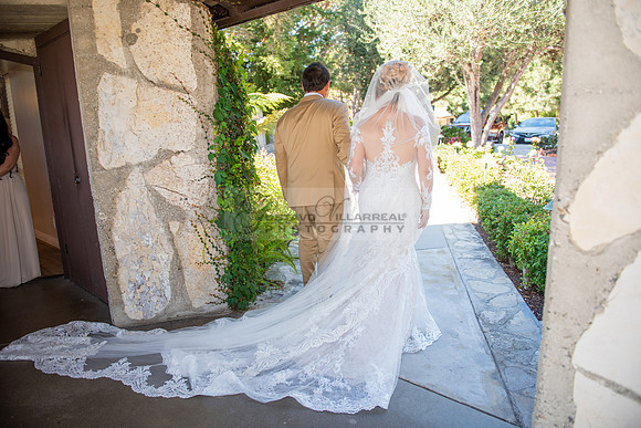 Fanny and Gustavo wedding celebration photography and videograph